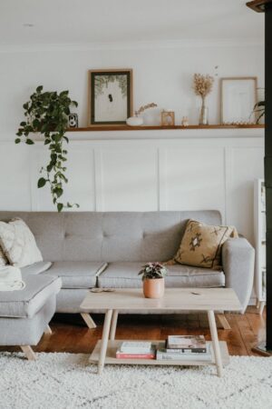 Pour la décoration et le mobilier, c’est à Toulouse